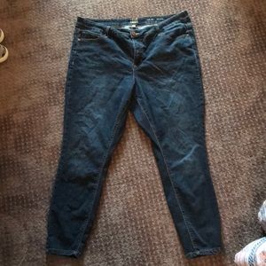 True Craft Skinny Jeans